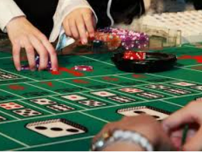 彩神VIl彩票2024最新版